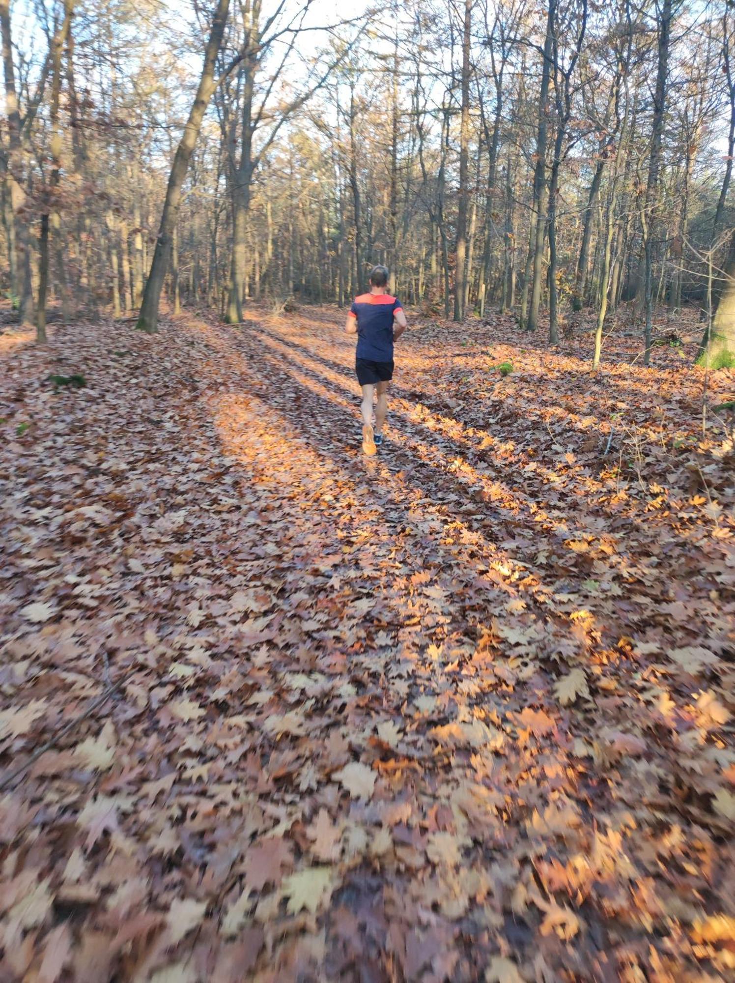 פורטהאוזן Poort Van De Veluwe מראה חיצוני תמונה